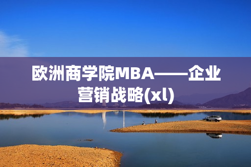 欧洲商学院MBA——企业营销战略(xl)