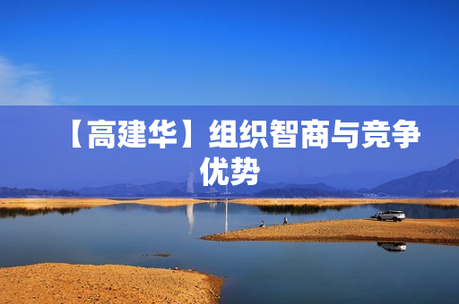 【高建华】组织智商与竞争优势