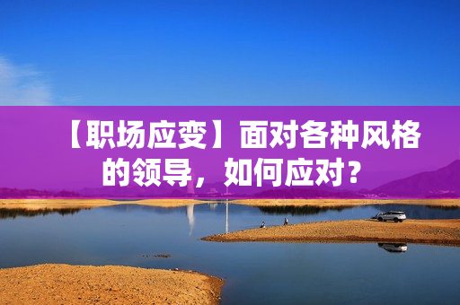 【职场应变】面对各种风格的领导，如何应对？