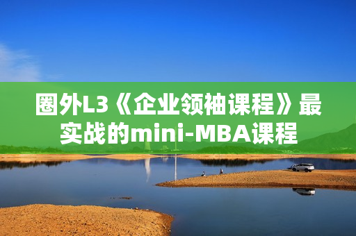 圈外L3《企业领袖课程》最实战的mini-MBA课程