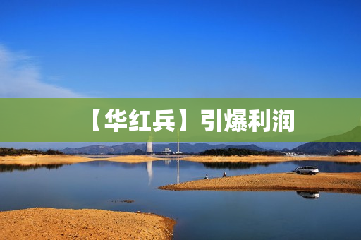 【华红兵】引爆利润