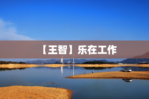 【王智】乐在工作