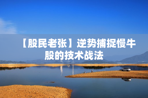 【股民老张】逆势捕捉慢牛股的技术战法