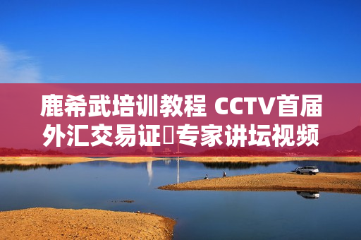 鹿希武培训教程 CCTV首届外汇交易证劵专家讲坛视频 高级实战教程