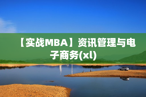 【实战MBA】资讯管理与电子商务(xl)