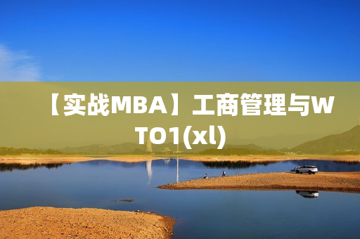 【实战MBA】工商管理与WTO1(xl)