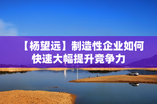 【杨望远】制造性企业如何快速大幅提升竞争力