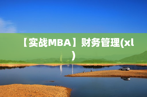 【实战MBA】财务管理(xl)