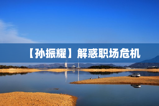 【孙振耀】解惑职场危机