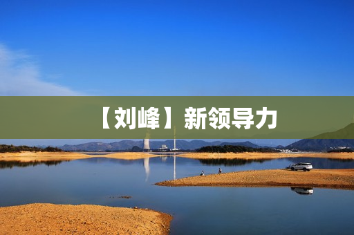 【刘峰】新领导力