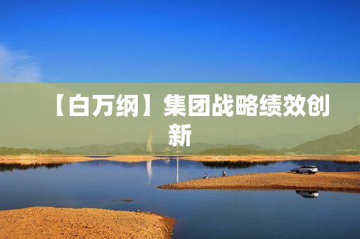 【白万纲】集团战略绩效创新