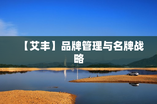 【艾丰】品牌管理与名牌战略