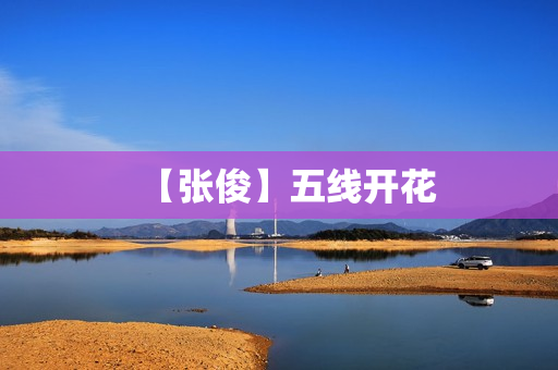 【张俊】五线开花