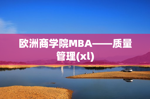 欧洲商学院MBA——质量管理(xl)