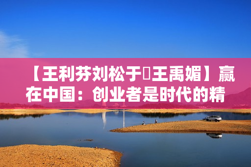 【王利芬刘松于揚王禹媚】赢在中国：创业者是时代的精神分裂症之出行篇