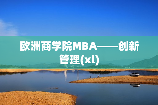 欧洲商学院MBA——创新管理(xl)