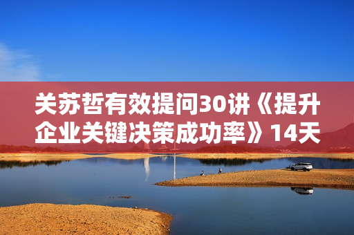 关苏哲有效提问30讲《提升企业关键决策成功率》14天决策特训营培训课程