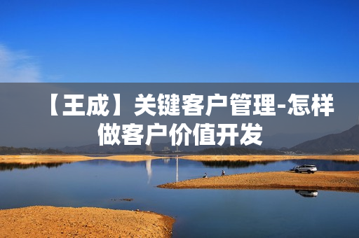 【王成】关键客户管理-怎样做客户价值开发