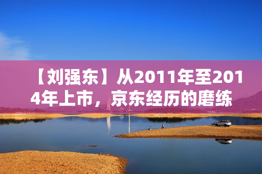 【刘强东】从2011年至2014年上市，京东经历的磨练