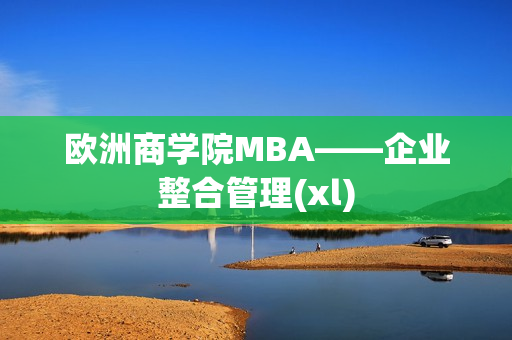 欧洲商学院MBA——企业整合管理(xl)