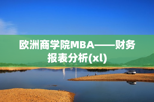 欧洲商学院MBA——财务报表分析(xl)