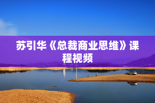 苏引华《总裁商业思维》课程视频