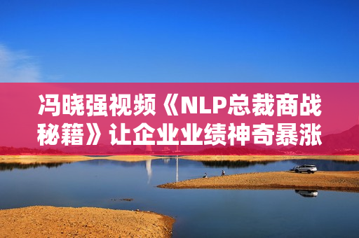 冯晓强视频《NLP总裁商战秘籍》让企业业绩神奇暴涨-让老板身心解放