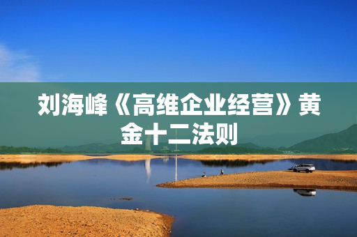 刘海峰《高维企业经营》黄金十二法则