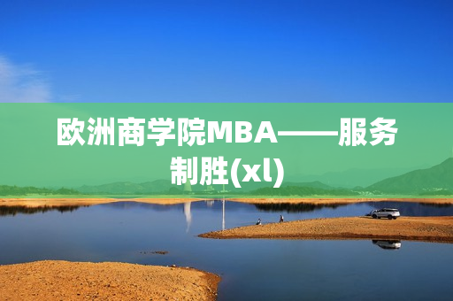 欧洲商学院MBA——服务制胜(xl)
