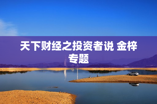 天下财经之投资者说 金梓专题