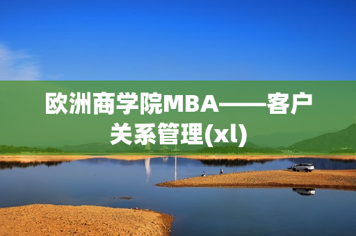 欧洲商学院MBA——客户关系管理(xl)