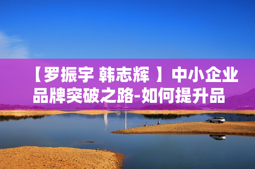 【罗振宇 韩志辉 】中小企业品牌突破之路-如何提升品牌附加值