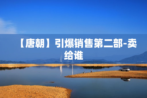 【唐朝】引爆销售第二部-卖给谁