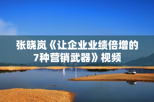 张晓岚《让企业业绩倍增的7种营销武器》视频