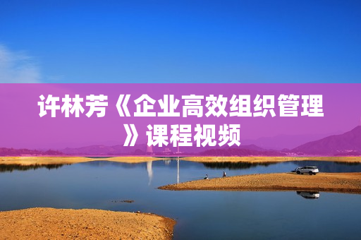 许林芳《企业高效组织管理》课程视频