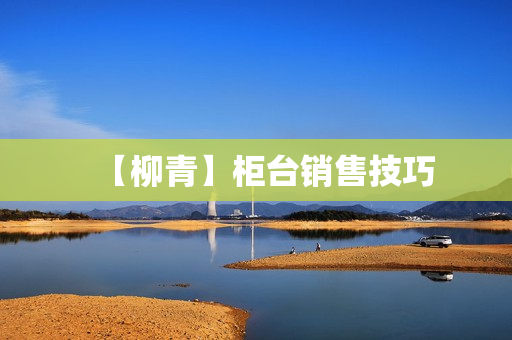 【柳青】柜台销售技巧