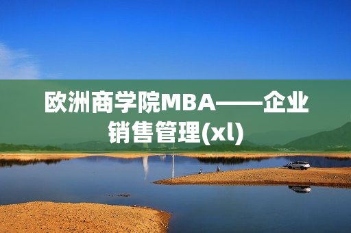 欧洲商学院MBA——企业销售管理(xl)