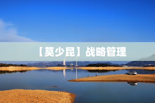 【莫少昆】战略管理