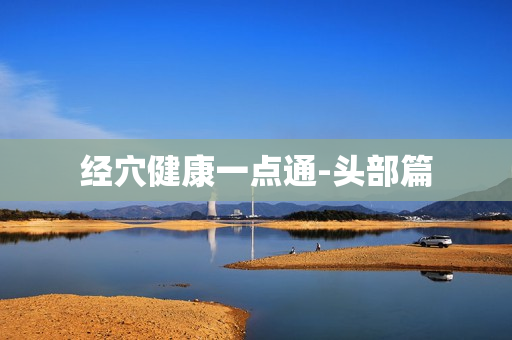 经穴健康一点通-头部篇