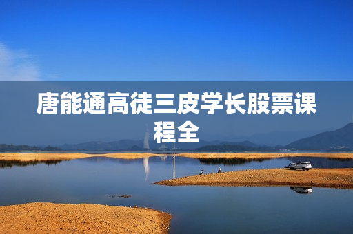 唐能通高徒三皮学长股票课程全