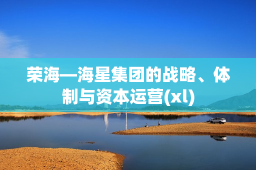 荣海—海星集团的战略、体制与资本运营(xl)
