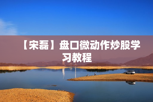 【宋磊】盘口微动作炒股学习教程