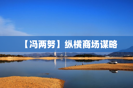 【冯两努】纵横商场谋略