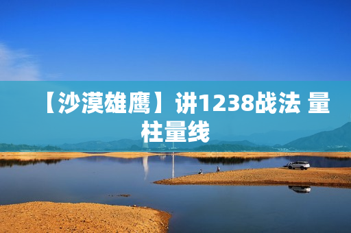 【沙漠雄鹰】讲1238战法 量柱量线