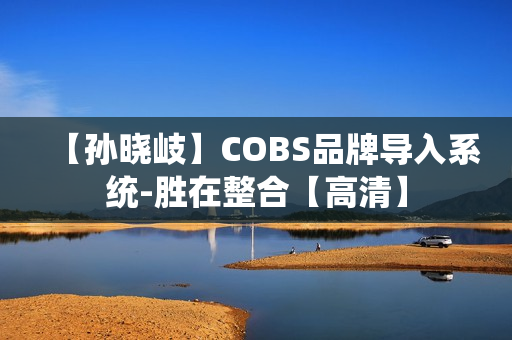 【孙晓岐】COBS品牌导入系统-胜在整合【高清】