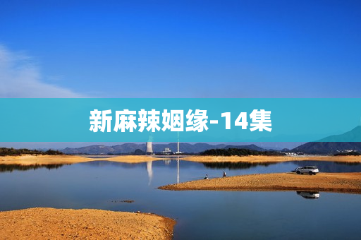 新麻辣姻缘-14集
