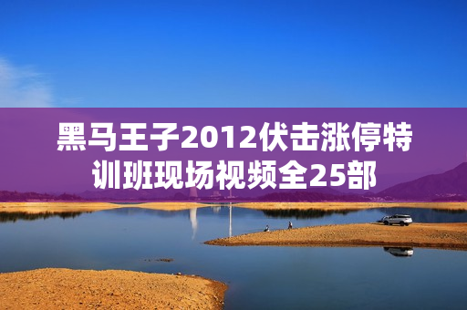 黑马王子2012伏击涨停特训班现场视频全25部