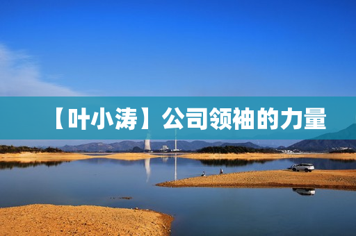 【叶小涛】公司领袖的力量