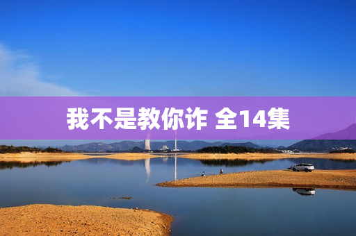 我不是教你诈 全14集