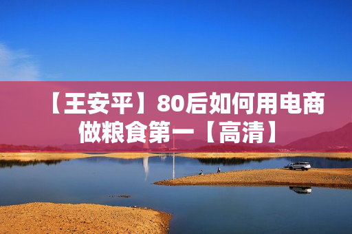 【王安平】80后如何用电商做粮食第一【高清】